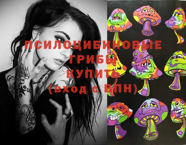 тгк Бугульма