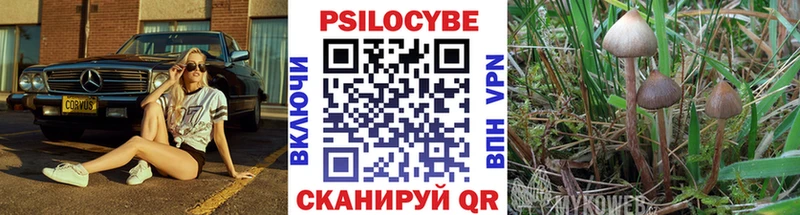 Галлюциногенные грибы MAGIC MUSHROOMS  Купить где  Оса 